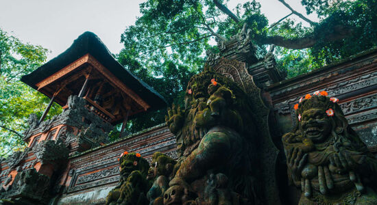 Bali Sacred Monkey Forest Sanc